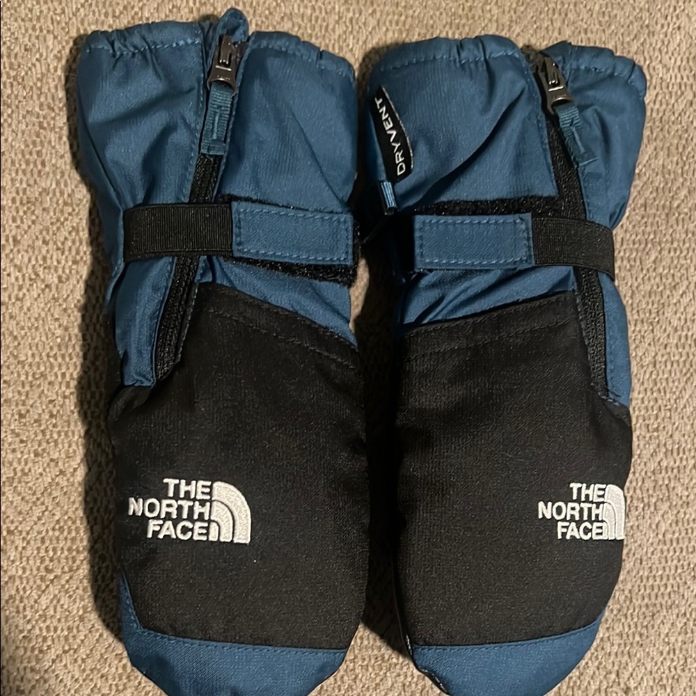 The North Face Blue and Black Mittens